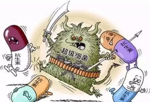 無抗養殖 衡量水產未來的天平，抗生素扮演關鍵砝碼